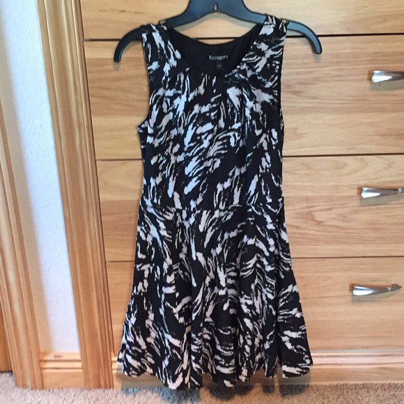 Express Dress - Picture 1 of 4